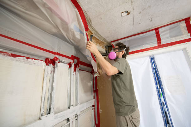 Best Mold Prevention Services  in Bokeelia, FL