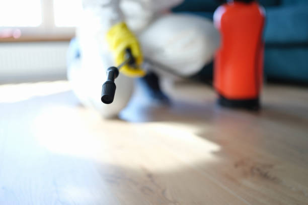 Best Commercial Mold Inspection  in Bokeelia, FL