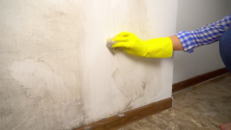 Best Dehumidification Services  in Bokeelia, FL