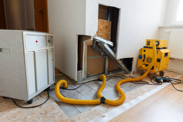 Best Comprehensive Air Testing for Mold Contaminants  in Bokeelia, FL