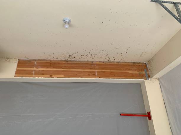 Best Post-Remediation Verification Testing  in Bokeelia, FL