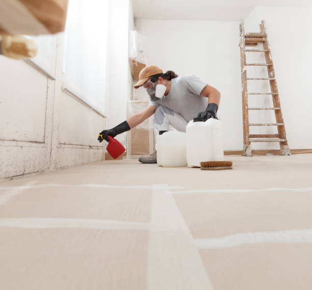 Environmental Consulting for Mold Prevention in Bokeelia, FL